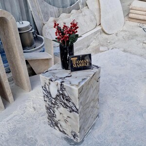 Pu&ograve; includere: Un cubo di marmo bianco con venature nere, utilizzato come tavolino. Il tavolino &egrave; sormontato da un piccolo vaso nero con fiori rossi e un cartello che recita "Thomas Marble".