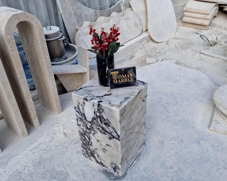Pu&ograve; includere: Un cubo di marmo bianco con venature nere, utilizzato come tavolino. Il tavolino &egrave; sormontato da un piccolo vaso nero con fiori rossi e un cartello che recita "Thomas Marble".