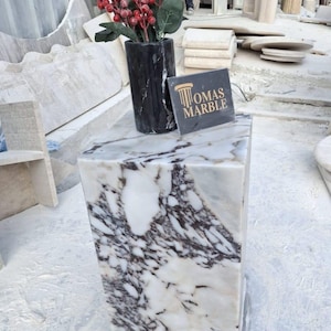 Pu&ograve; includere: Un piedistallo in marmo bianco con venature nere e grigie. Il piedistallo &egrave; alto circa 38 cm e largo 30 cm. Un vaso in marmo nero con un cespuglio di bacche rosse &egrave; posto sopra il piedistallo. Un cartello che dice "Tomas Marble" &egrave; sul piedistallo.