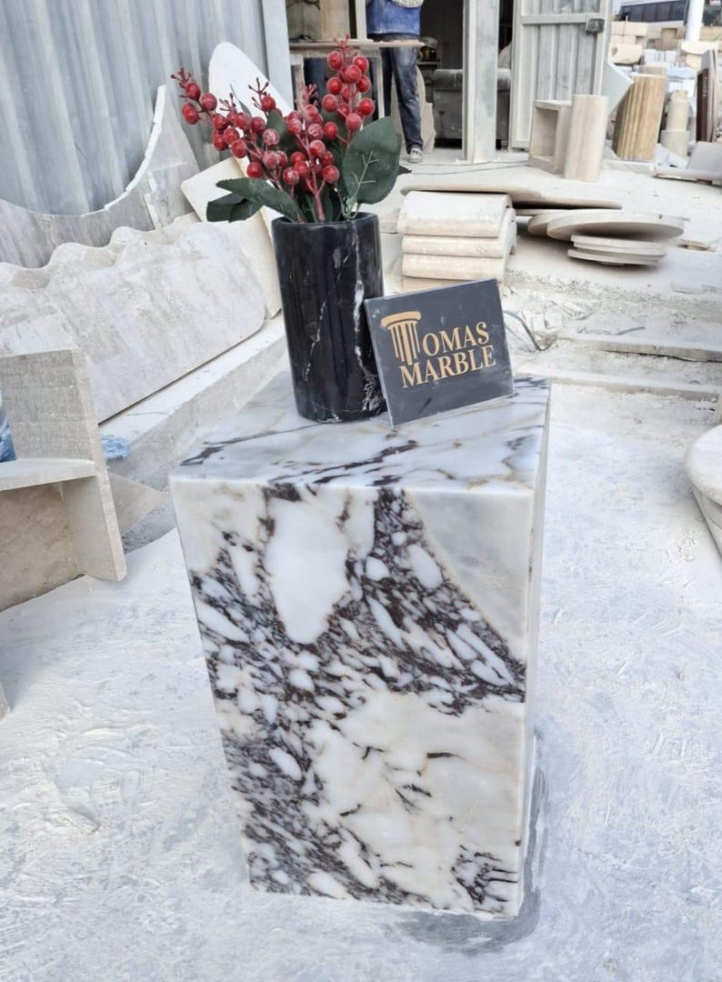 Pu&ograve; includere: Un piedistallo in marmo bianco con venature nere e grigie. Il piedistallo &egrave; alto circa 38 cm e largo 30 cm. Un vaso in marmo nero con un cespuglio di bacche rosse &egrave; posto sopra il piedistallo. Un cartello che dice "Tomas Marble" &egrave; sul piedistallo.