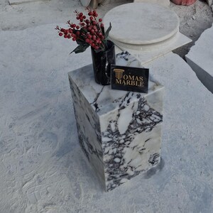 Pu&ograve; includere: Un cubo di marmo bianco con venature nere, utilizzato come piedistallo. Il cubo &egrave; sormontato da un piccolo vaso nero con bacche rosse. Il testo "OMAS MARBLE" &egrave; stampato su un'etichetta nera.