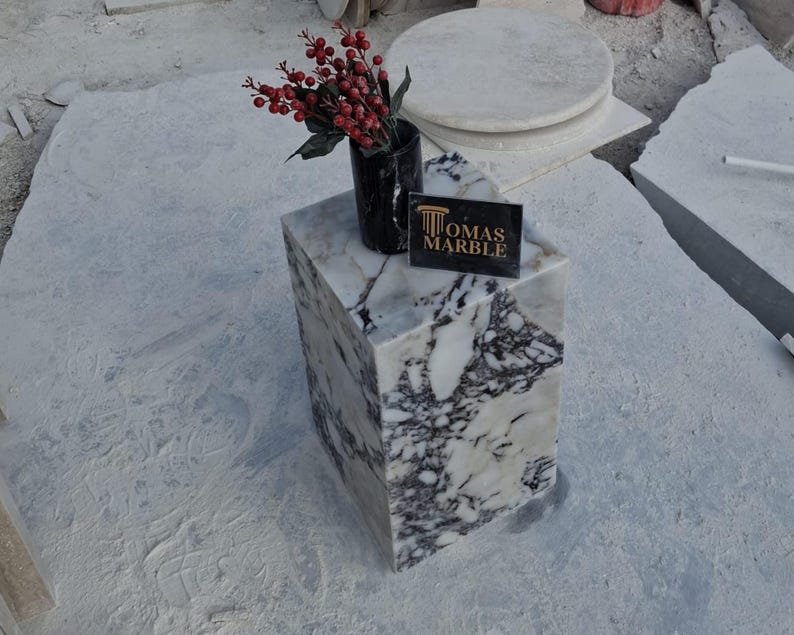 Pu&ograve; includere: Un cubo di marmo bianco con venature nere, utilizzato come piedistallo. Il cubo &egrave; sormontato da un piccolo vaso nero con bacche rosse. Il testo "OMAS MARBLE" &egrave; stampato su un'etichetta nera.