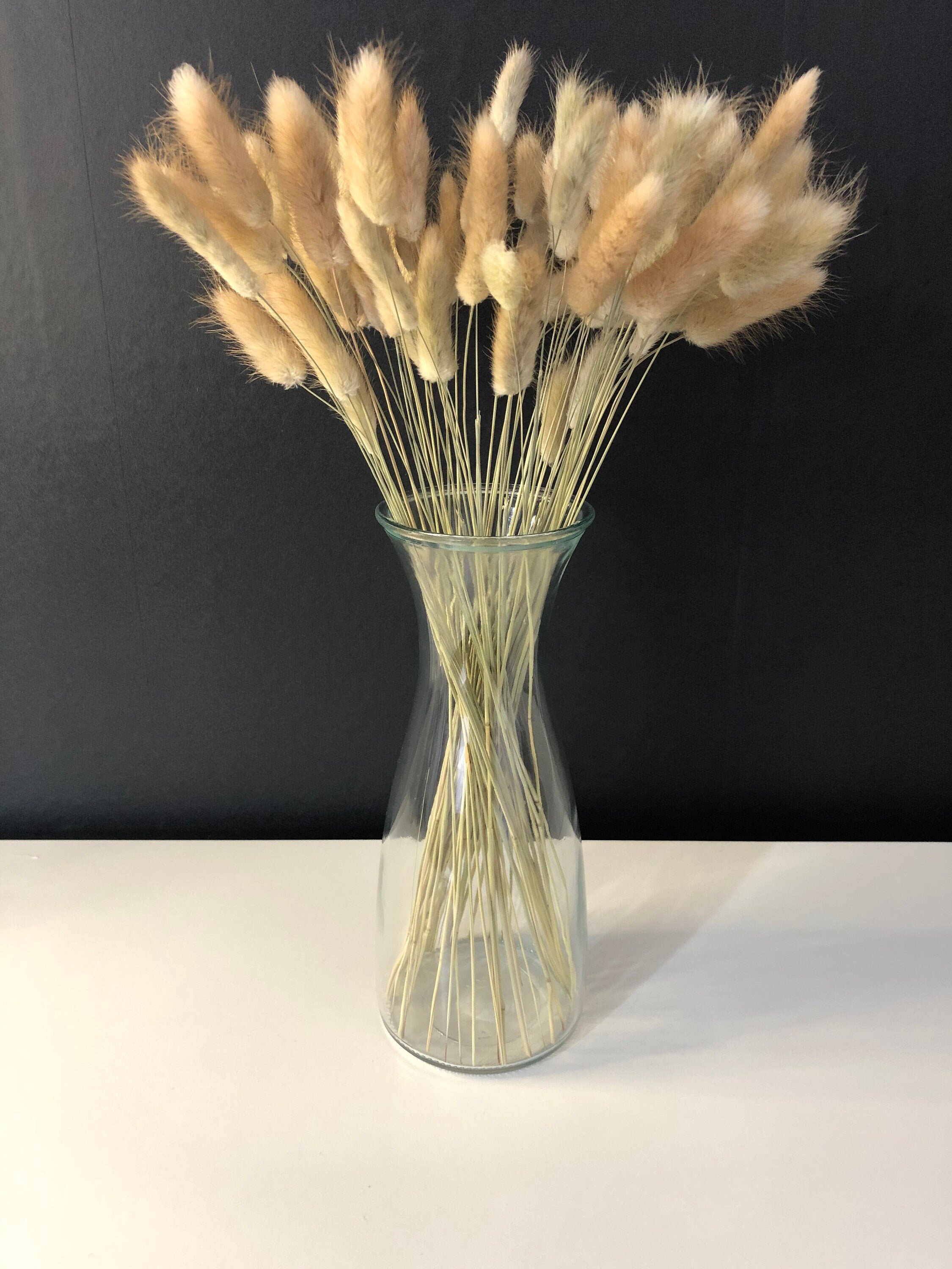 Clear Glass Vase Dried Flower Vase Bunny Tail Vase Etsy
