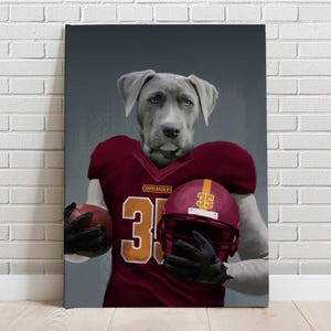 May include: A gray dog wearing a red and gold football uniform with the word "Commanders" and the number "35" on the jersey. The dog is holding a football and a helmet.
