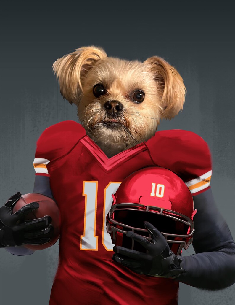 Pode incluir: Um pequeno c&atilde;o castanho claro vestindo um uniforme de futebol vermelho e branco e segurando um capacete de futebol vermelho com o n&uacute;mero 10. O c&atilde;o tamb&eacute;m est&aacute; segurando uma bola de futebol marrom.