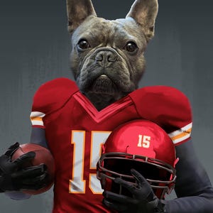 Pode incluir: Um bulldogue franc&ecirc;s vestindo um uniforme de futebol vermelho e branco com o n&uacute;mero 15. O c&atilde;o est&aacute; segurando uma bola de futebol e um capacete vermelho com o n&uacute;mero 15.