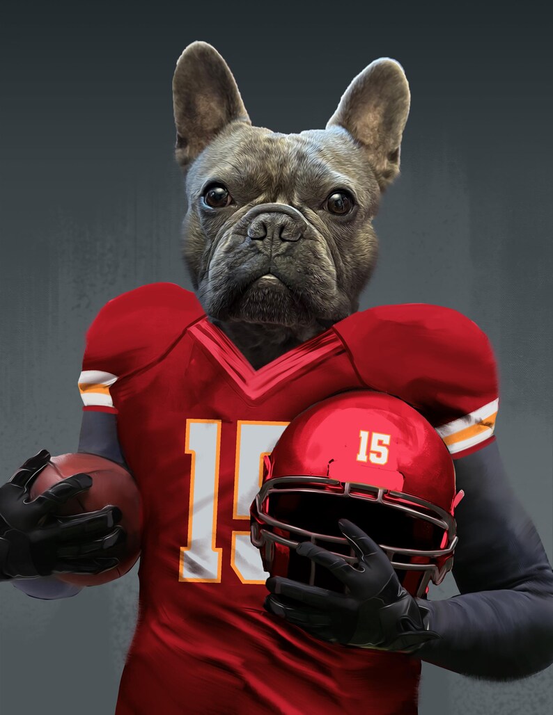 Pode incluir: Um bulldogue franc&ecirc;s vestindo um uniforme de futebol vermelho e branco com o n&uacute;mero 15. O c&atilde;o est&aacute; segurando uma bola de futebol e um capacete vermelho com o n&uacute;mero 15.