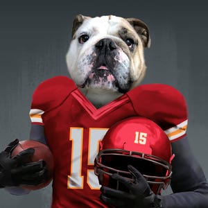 Pode incluir: Um bulldogue vestindo um uniforme de futebol vermelho e branco com o n&uacute;mero 15. O bulldogue est&aacute; segurando uma bola de futebol em uma m&atilde;o e um capacete de futebol vermelho com o n&uacute;mero 15 na outra.