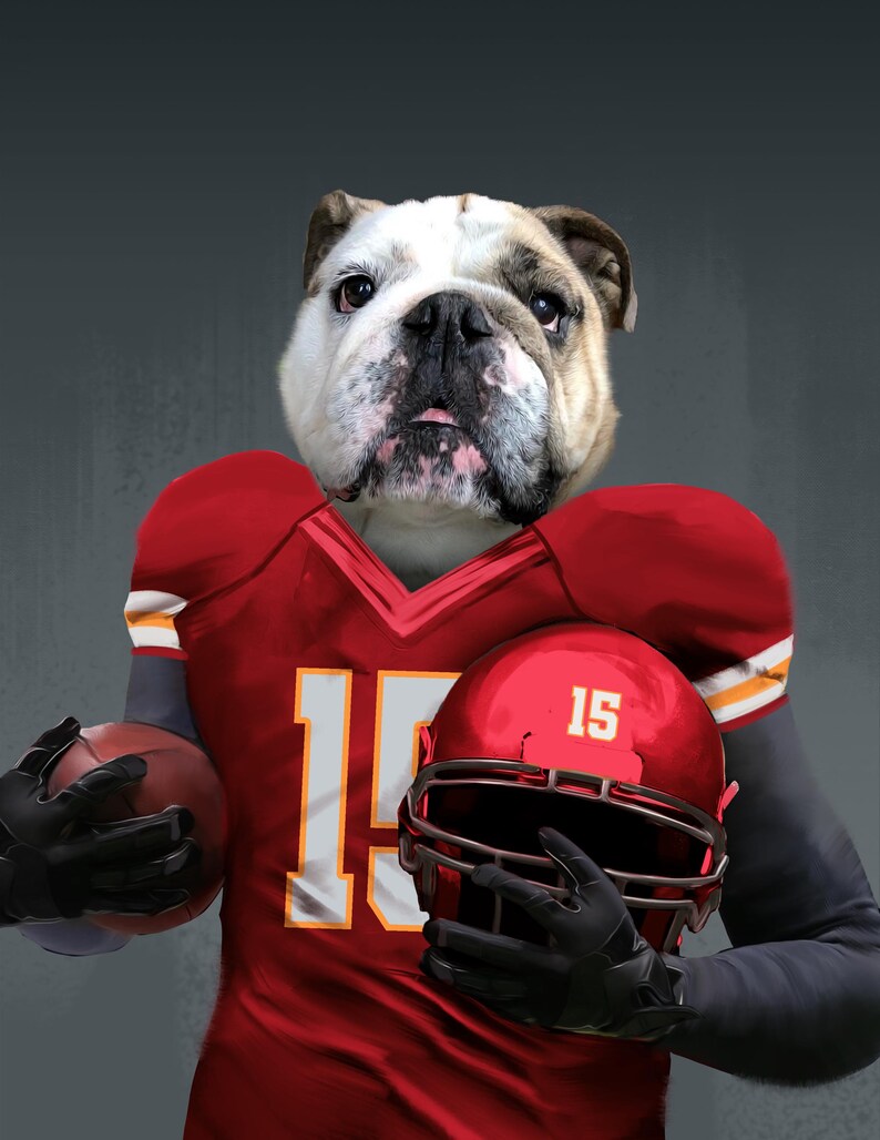 Pode incluir: Um bulldogue vestindo um uniforme de futebol vermelho e branco com o n&uacute;mero 15. O bulldogue est&aacute; segurando uma bola de futebol em uma m&atilde;o e um capacete de futebol vermelho com o n&uacute;mero 15 na outra.