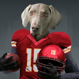 Pode incluir: Um c&atilde;o Weimaraner vestindo um uniforme de futebol vermelho e amarelo com o n&uacute;mero 15. O c&atilde;o est&aacute; segurando uma bola de futebol em uma m&atilde;o e um capacete de futebol vermelho na outra.