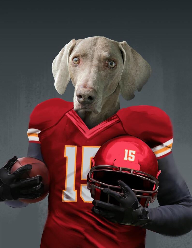 Pode incluir: Um c&atilde;o Weimaraner vestindo um uniforme de futebol vermelho e amarelo com o n&uacute;mero 15. O c&atilde;o est&aacute; segurando uma bola de futebol em uma m&atilde;o e um capacete de futebol vermelho na outra.