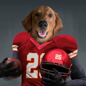 Pode incluir: Um c&atilde;o golden retriever vestindo um uniforme de futebol vermelho e branco com o n&uacute;mero 20 na frente. O c&atilde;o est&aacute; segurando uma bola de futebol em uma m&atilde;o e um capacete de futebol vermelho com o n&uacute;mero 26 no lado na outra m&atilde;o.
