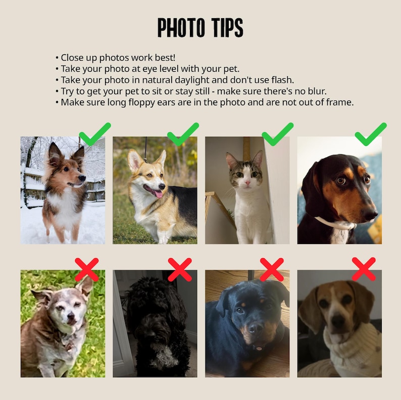 Pode incluir: Uma colagem de fotos mostrando exemplos de fotos de animais de estima&ccedil;&atilde;o boas e m&aacute;s. A linha superior mostra exemplos de fotos boas com uma marca de verifica&ccedil;&atilde;o ao lado de cada uma. A linha inferior mostra exemplos de fotos ruins com um X ao lado de cada uma. O texto acima das fotos diz "PHOTO TIPS" e lista dicas para tirar boas fotos de animais de estima&ccedil;&atilde;o.