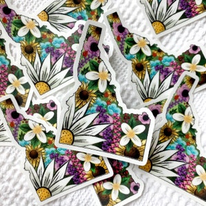 Idaho Wildflower Sticker, Clear Waterproof Idaho State Sticker