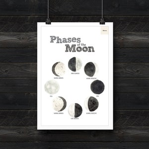 Moon Phases Poster - Lunar Phases Poster - PDF - DIGITAL - Moon facts - Solar System - Planets - Science - Space Education Poster - Download