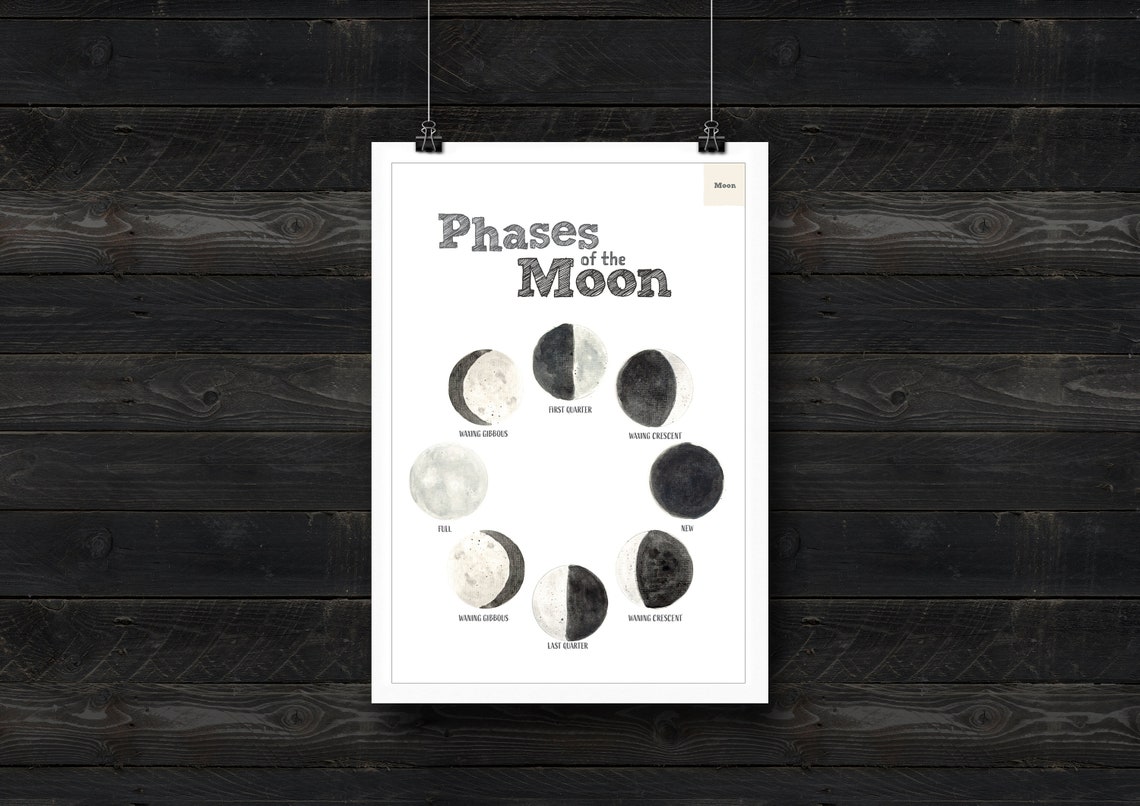 Moon Unit Study Bundle - Lunar Phases - PDF - DIGITAL - Moon Facts ...