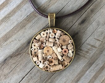 Crinoid necklace Clearance