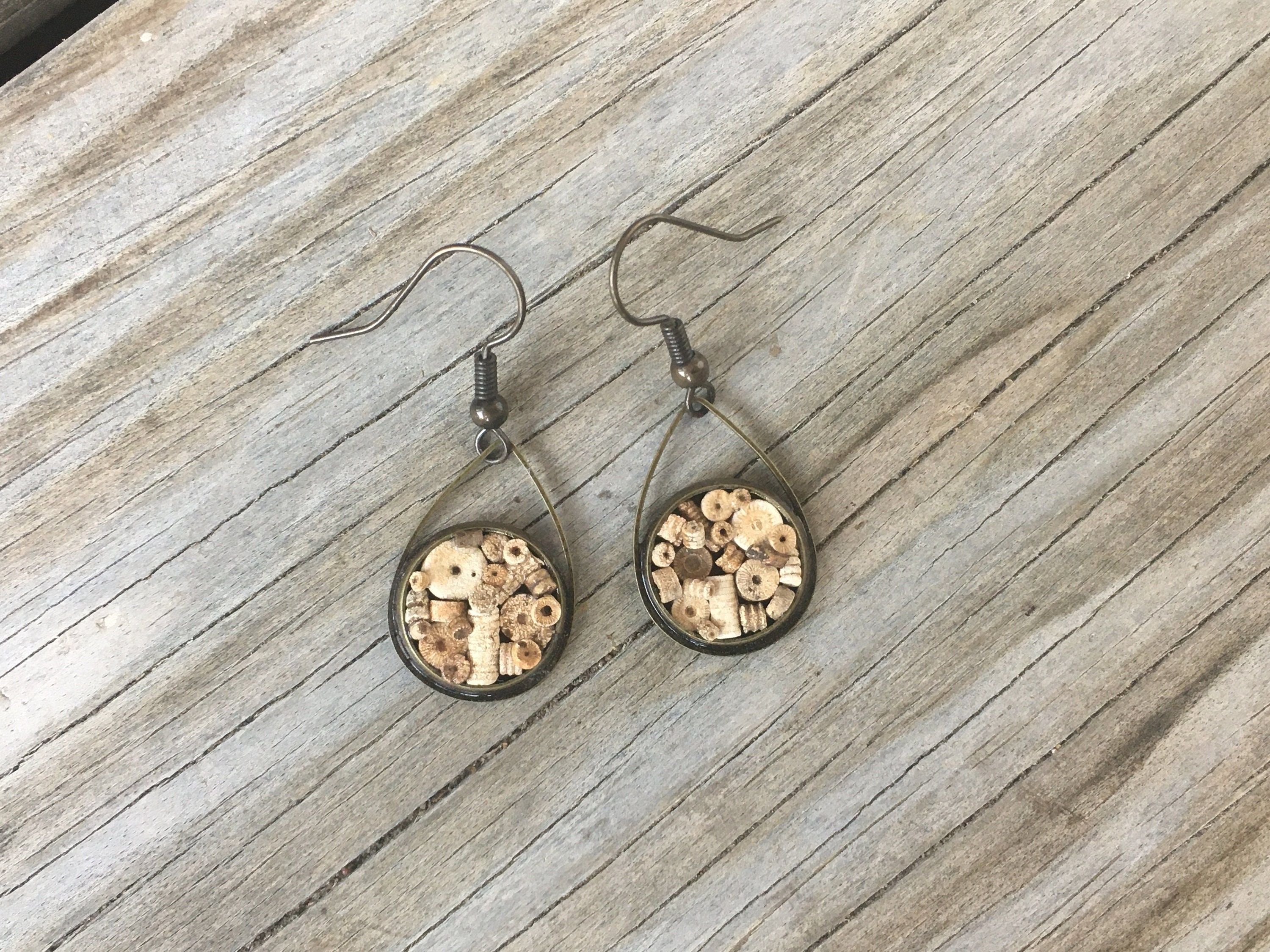 Crinoid fossil Earrings with glass beads Indiana Crinoids