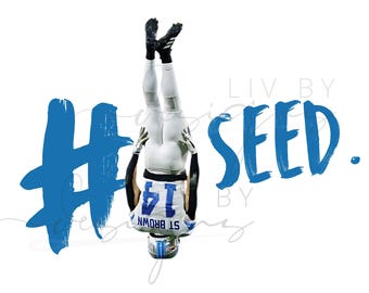 Number one seed lions football | Lions PNG - one pride | One seed lions image
