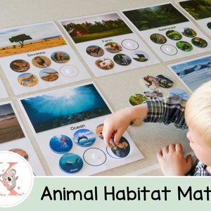 Actividad de hábitat animal/Coincidencia de hábitat/Actividad animal realista/Escuela en casa/Actividad de clasificación de hábitat/Educativo/Hojas de trabajo de clasificación