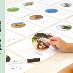 Tarjetas de alfabeto de animales / Coincidencia de sonidos / Actividad animal realista / Rastreo / Actividad ABC / Educativo / Sonidos iniciales / Montessori