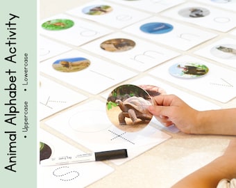 May include: A child's hand holds a round card with a picture of a tortoise on it. The card is being placed on a white card with dotted lines forming the letter T. The cards are part of an animal alphabet activity.