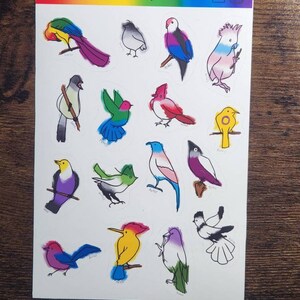 May include: A sheet of stickers featuring colorful birds with different pride flag colors. The stickers are titled "Pride Birds" by "AnteeStudios".