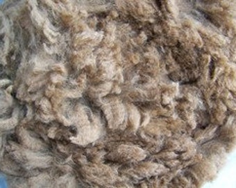 8 oz. raw alpaca fleece