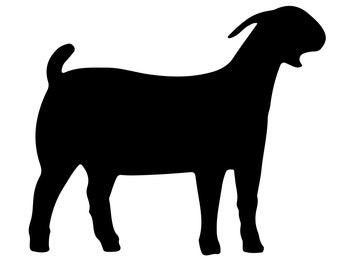 Boer Goat Silhouette SVG, Show Goat Clipart (Digital Download)