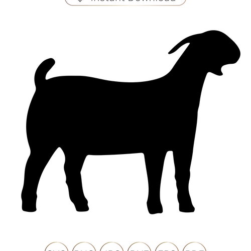 Boer Goat Silhouette SVG, Show Goat Clipart (Digital Download)