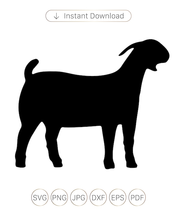 Goat SVG Goat Silhouette Boer Goat SVG Show Goat SVG Boer - Etsy