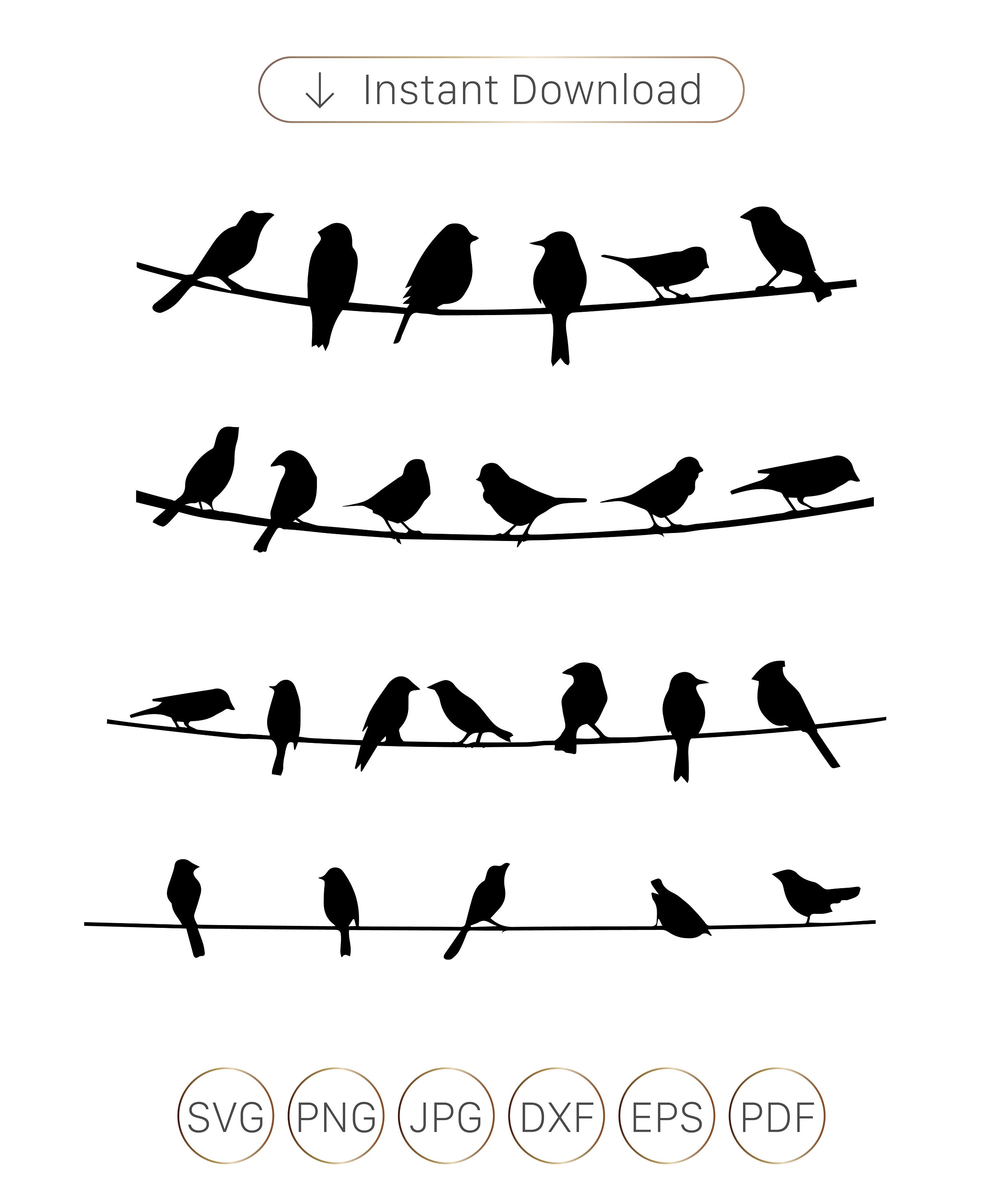 Birds SVG Birds on Wires Svg Birds on Branches Svg Bird Etsy Australia