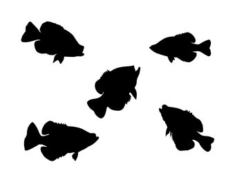 Crappie Fishing SVG Bundle, Fish Silhouette Clipart (Digital Download)