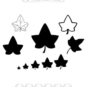 Ivy Leaf Svg, Ivy Leaf Silhouette, Ivy Leaf Dxf, Ivy Leaf Png, Ivy Leaf Eps, Ivy Plant Svg, Ivy Leaf Cricut, Ivy svg, Clipart.