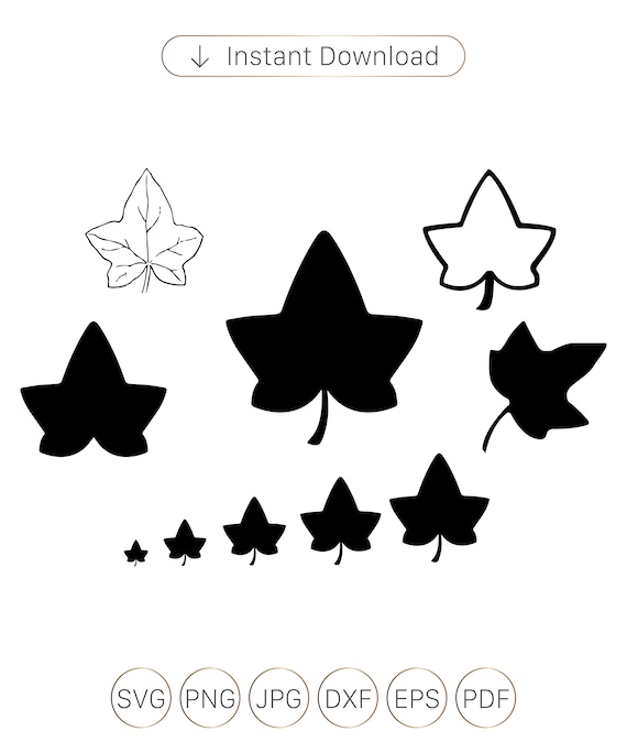 ivy-leaf-svg-ivy-leaf-silhouette-ivy-leaf-dxf-ivy-leaf-png-etsy-australia