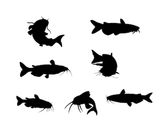 Catfish Silhouette Vector Clipart, Fishing SVG PNG (Digital Download)
