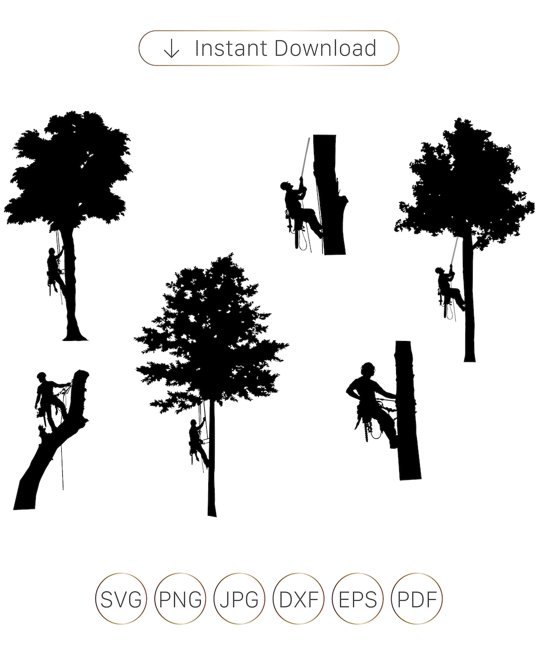 Tree Services SVG, Tree Arborist SVG, Tree Trimming SVG, Tree Climbing