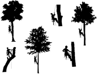 Tree Services SVG, Tree Arborist SVG, Tree Trimming SVG, Tree Climbing Png, Tree service logo, Tree service silhouette, Tree Services dxf