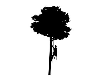 Tree Arborist SVG, Tree Service Silhouette, Vinyl Cut File (Digital Download)