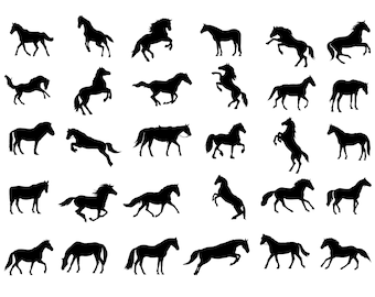 Horse Silhouette SVG Bundle, Equestrian Clipart (Digital Download)