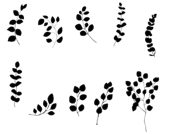 Eucalyptus Branches Clipart, Leaf Silhouette (Digital Download)