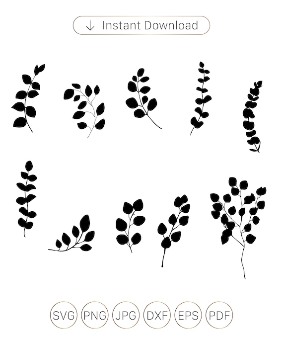 Eucalyptus Eucalyptus SVG Eucalyptus Clip Art Branches SVG - Etsy Australia