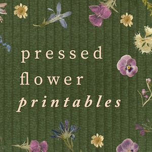 Flor seca prensada para impressão | Coisas efêmeras de scrapbook, elementos florais, colagem botânica, download digital de artigos de papelaria