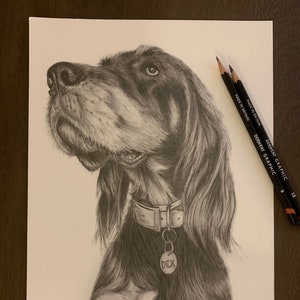 Custom hand drawn Pet Portrait - Read description before purchasing!