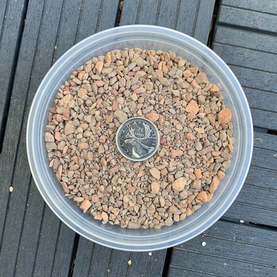 Soil Amendment / Top Dressing Calcinated Clay Etsy