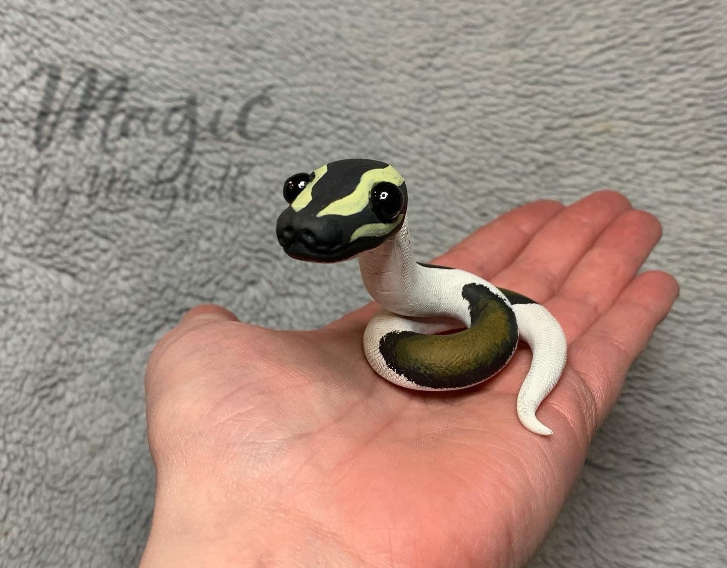 Cute Baby Ball Python