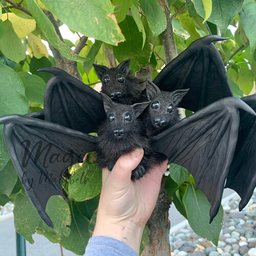 Cute Bats Mug I Love Bats Mug Spooky Bats Mug Halloween Etsy