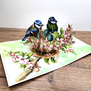 Biglietto di auguri di compleanno e Pasqua con uccelli e fiori pop-up 3D fatto a mano, ecologico / Dimensioni 13 x 18 cm / Busta inclusa