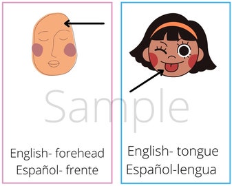 Tarjetas didácticas de las partes del cuerpo, en inglés y español, imprimibles (descarga digital)