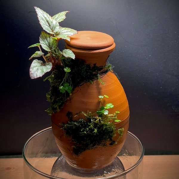 Terrarium vase planté sous cloche